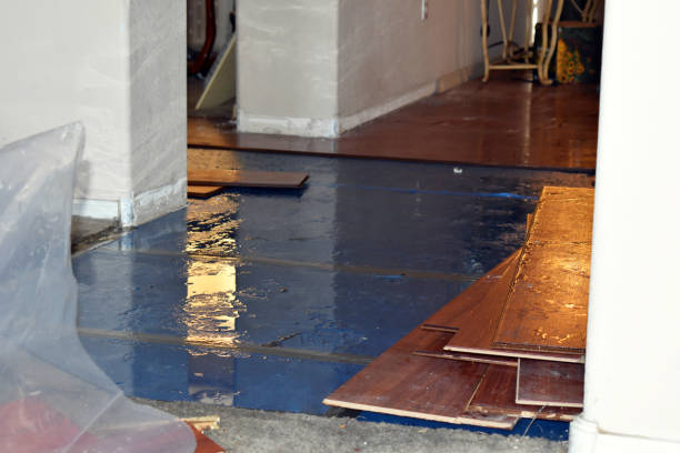 Professional Basement Flooding technician working in Creighton, MO